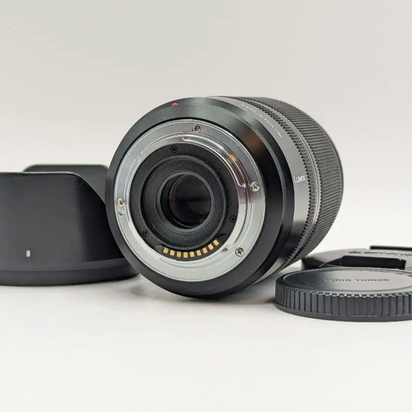 LUMIX D VARIO-ELMAR 14-50mm F3.8-5.6 美品