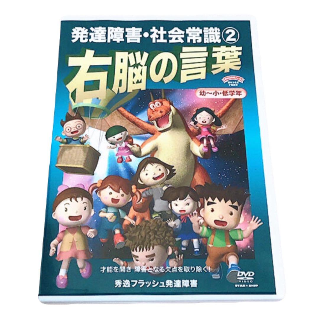 星みつる式 発達トレーニング 右脳の言葉 フラッシュカード 療育 DVD