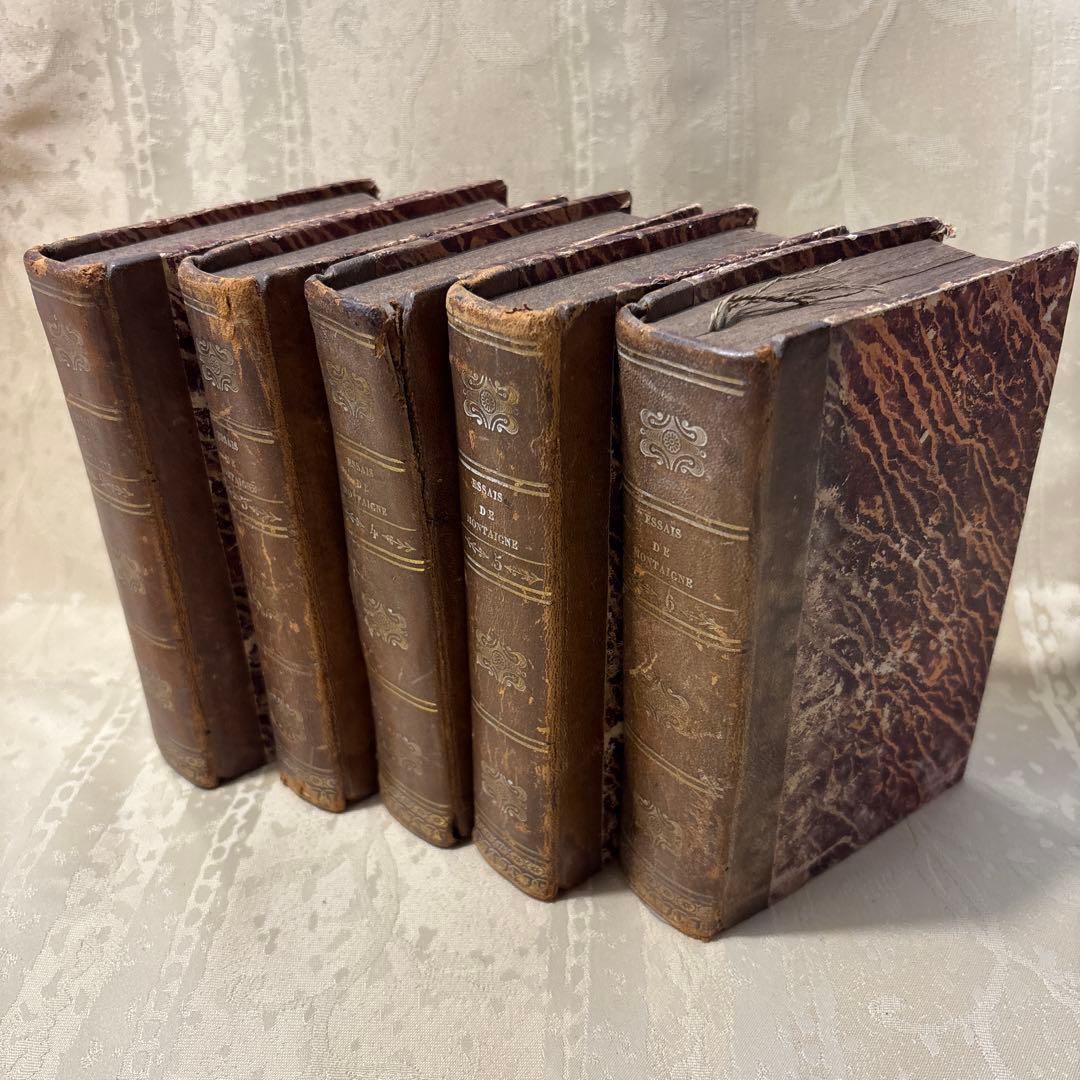 アンティーク ビンテージ フランス語 洋書 古書 洋古書 5巻セット