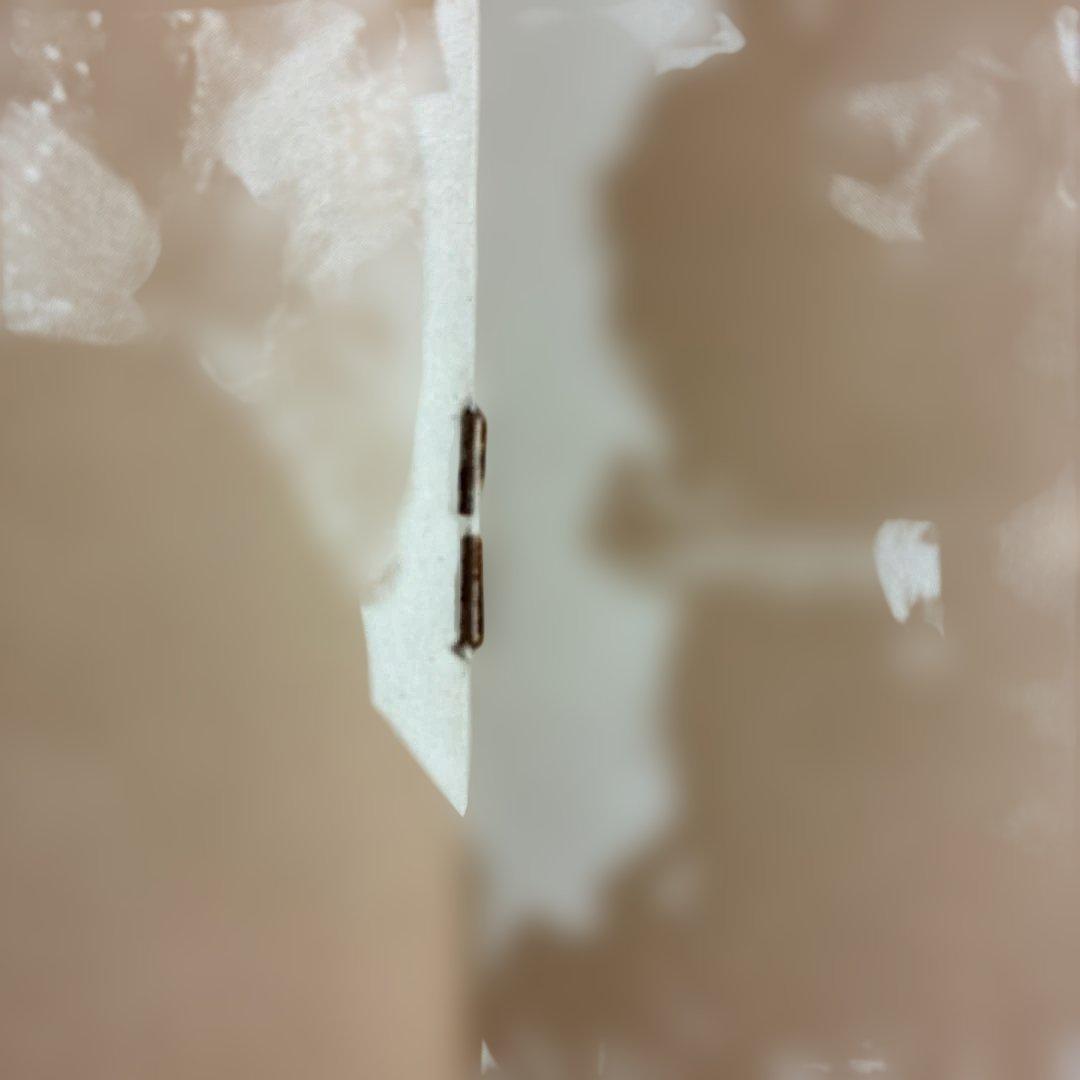 ベルリン/ルー・リード 国内盤レコード 別解説・歌詞カード付き1974年