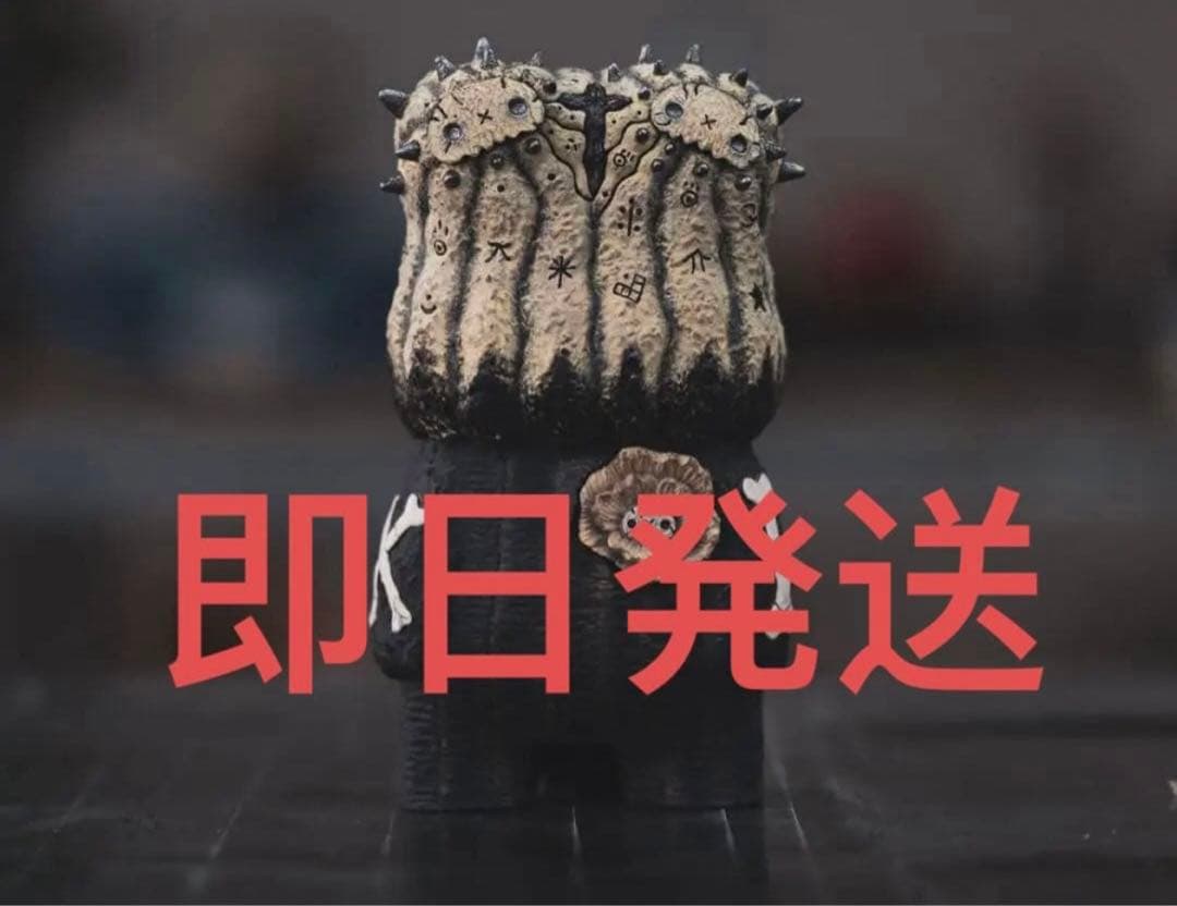 羅本製所 Copiapoa Twin Star 抽選限定品 新品未開封 - メルカリ