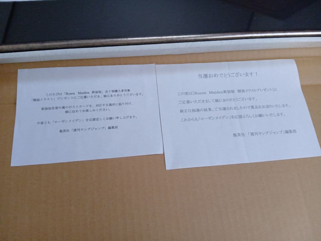 ローゼンメイデン 薔薇乙女 額装イラスト 額 500名限定？ レア - メルカリ