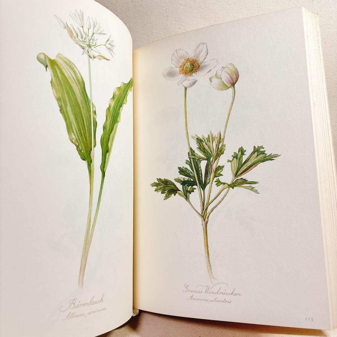美しい植物画 Elsa Felsko 植物図鑑2冊 Blumen 洋書 すずらん - メルカリ