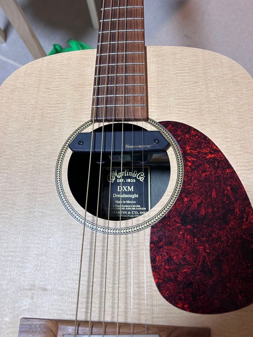 Martin & Co. DXM Dreadnought アコースティックギター