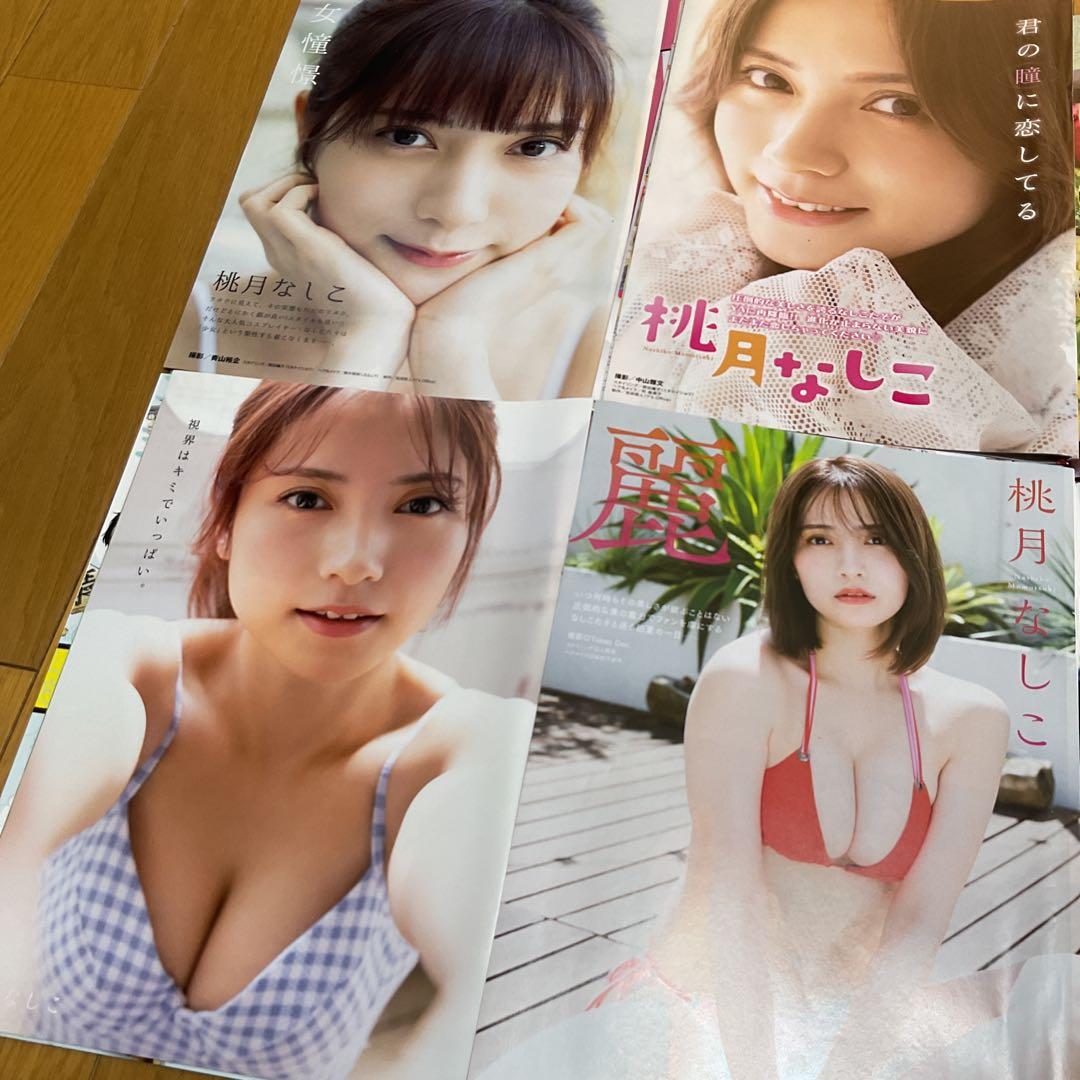 桃月なしこ　両面ポスター6点、切り抜き