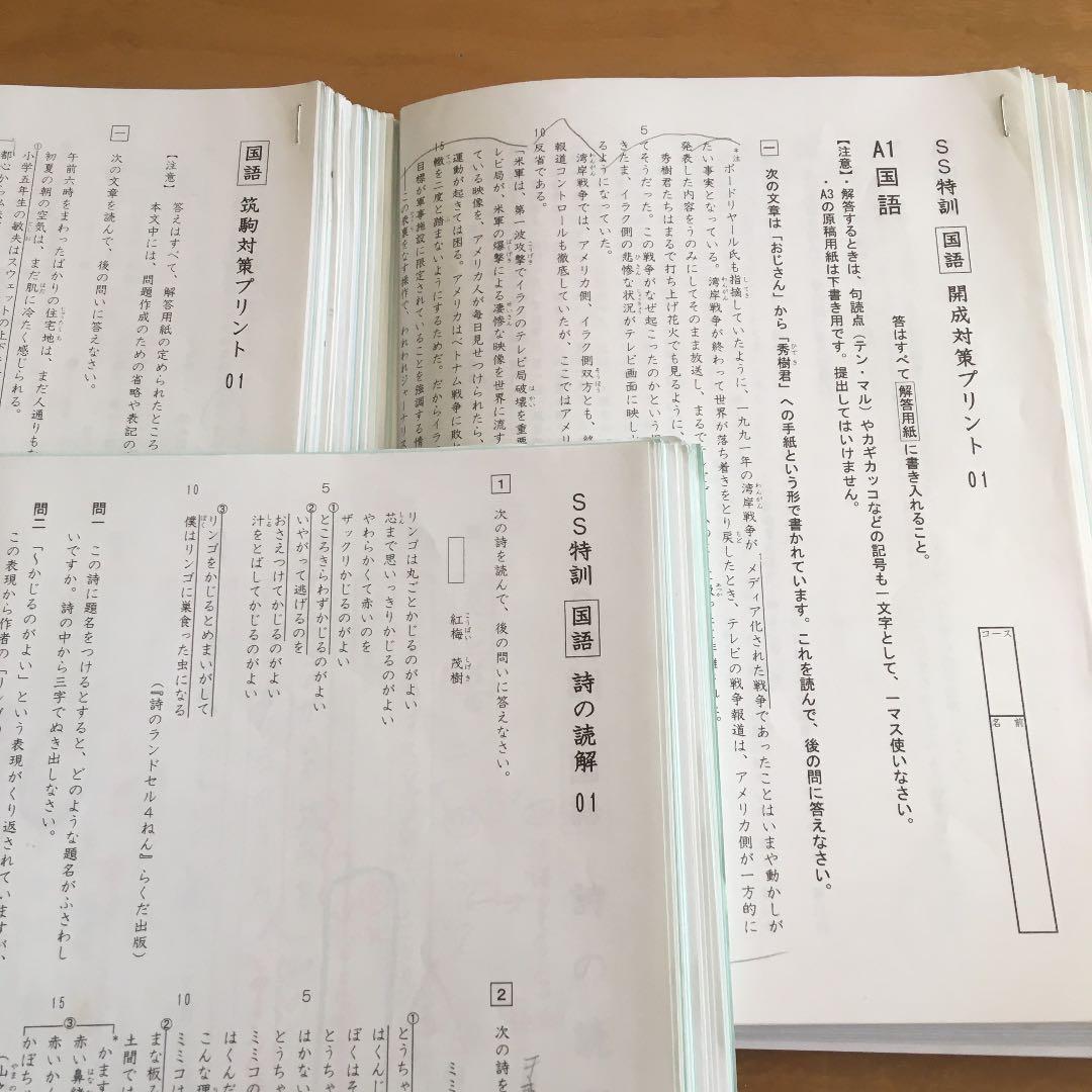 サピックス6年 SS特訓 国語 開成 筑駒 詩 プリント - メルカリ