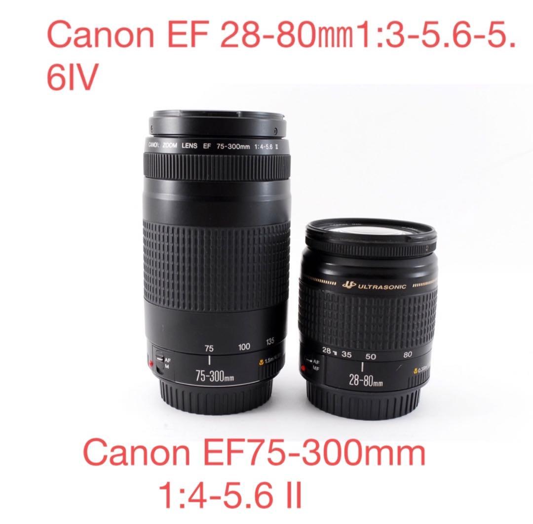 2セット☆Canon EF28-80、Canon EF75-300 標準&望遠