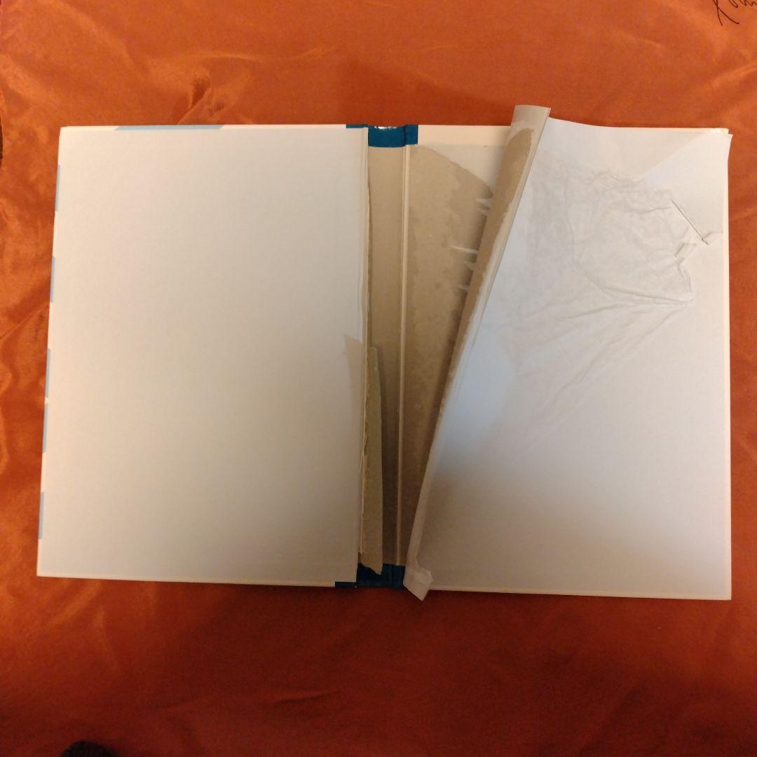 AIS 2005 Update 2008 日本語対訳版（裁断済）