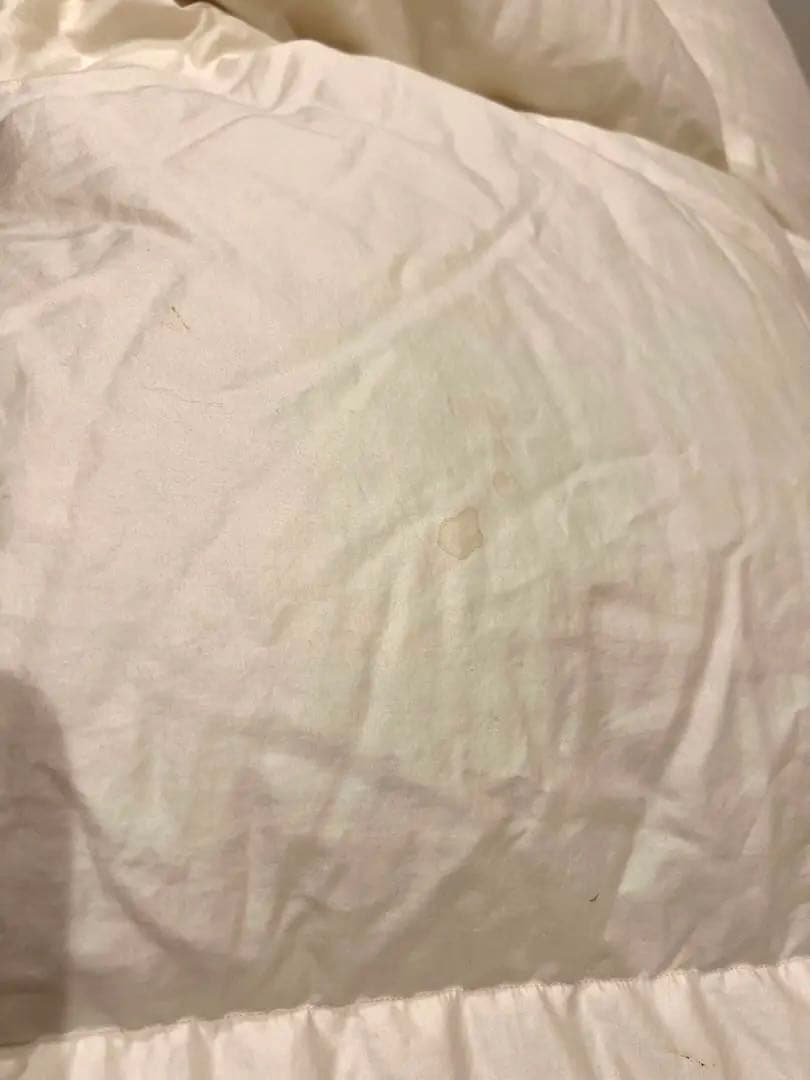 ハンガリー産グース93% 1.3k 綿100 プレミアムウォッシュ品 オススメ！