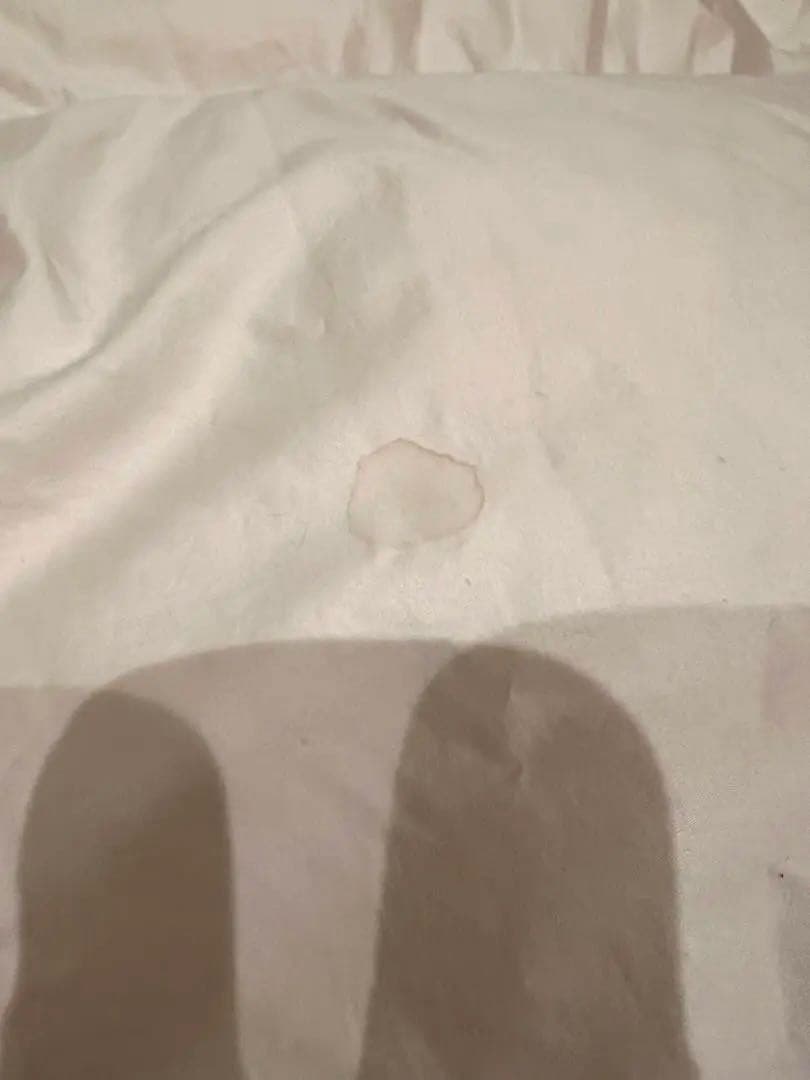 ハンガリー産グース93% 1.3k 綿100 プレミアムウォッシュ品 オススメ！