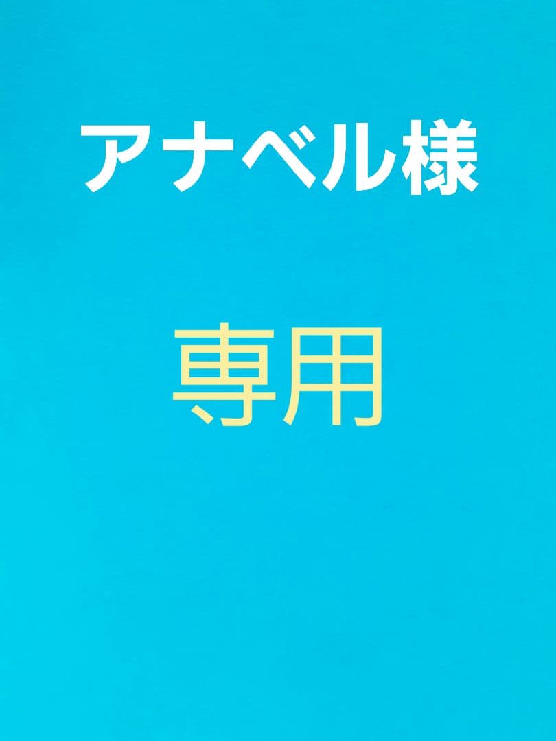 大きめトートバッグ(ミナペルホネン)オーダー ミナ ペルホネン】人気のトートバッグが特別仕様で登場！ SPURSHOPで