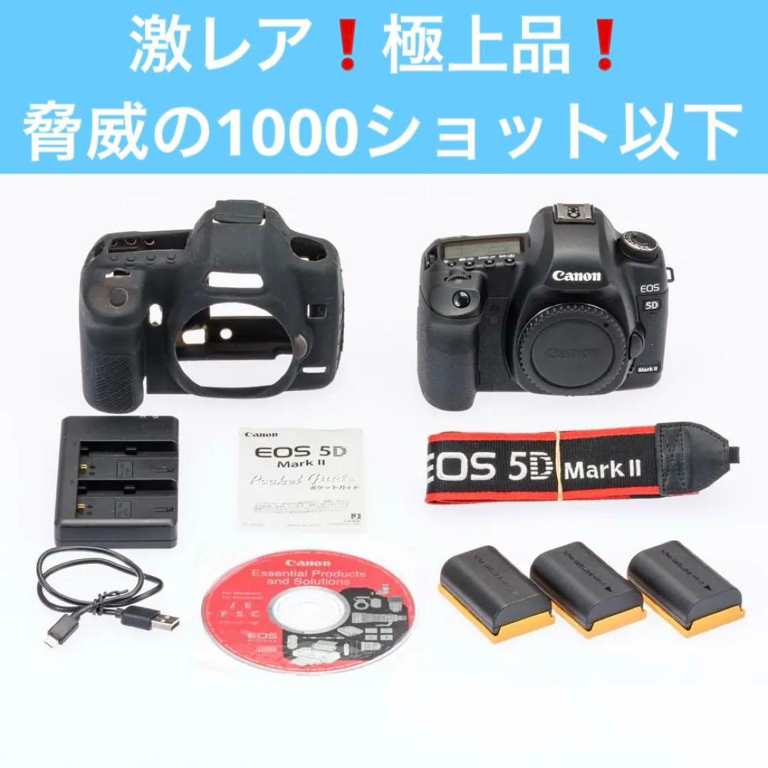 激レア！ショット数僅か570 極上動作品！ Canon 5DMARKⅡ付属品多数