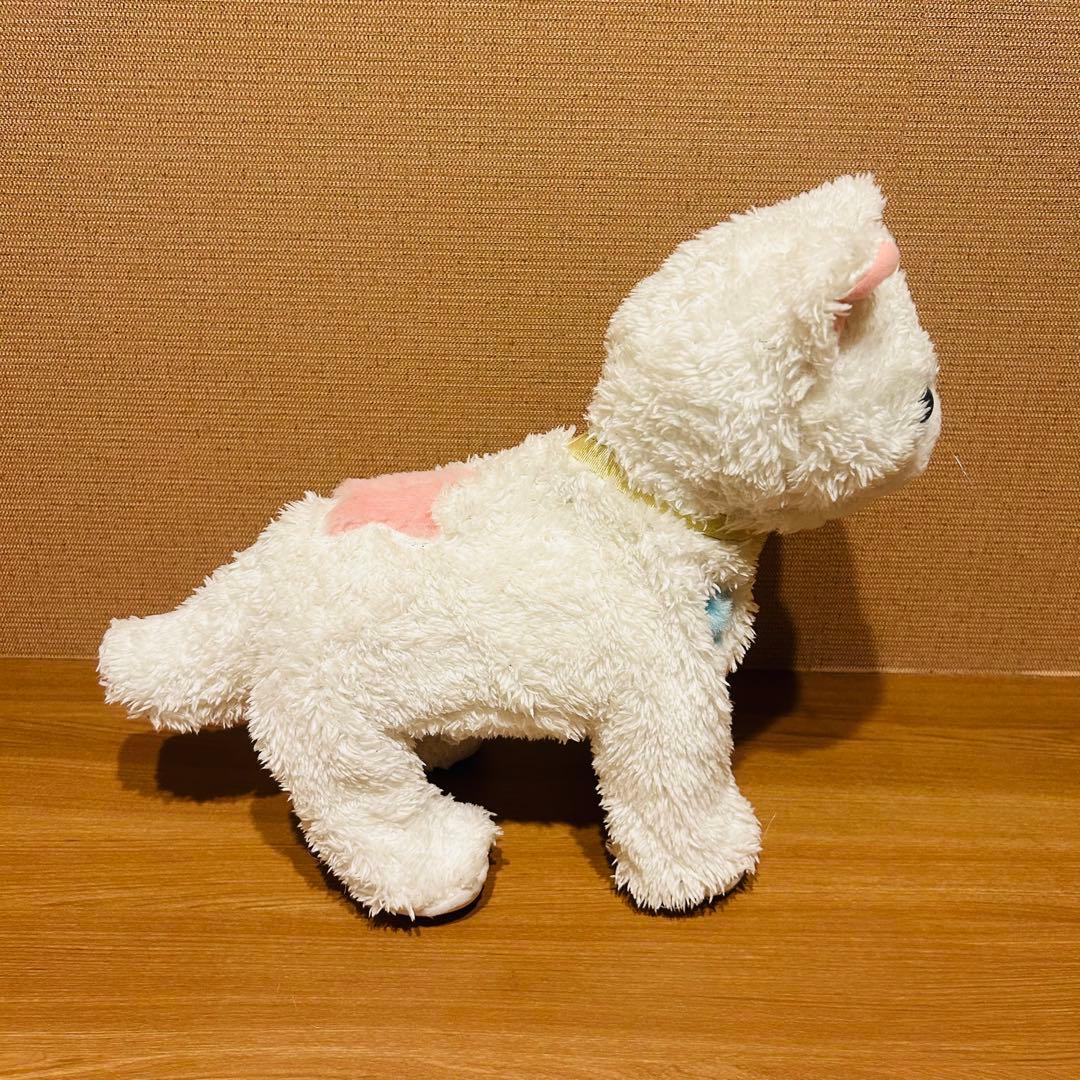 うちのヒロインキャット　さかだちニャッチー