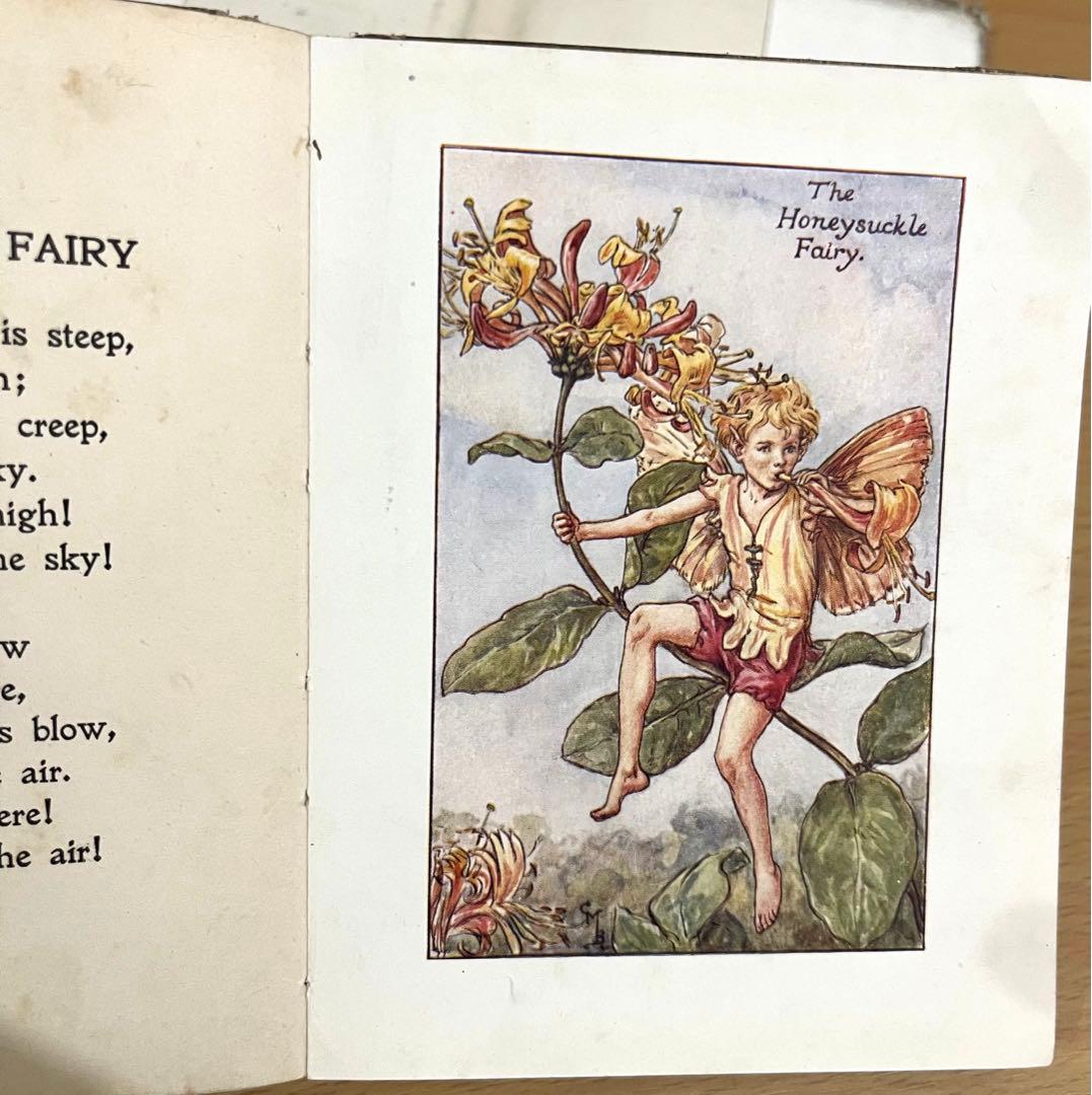 No.261 希少 古書 洋書 絵本 花の妖精 フラワー フェアリーズ - メルカリ