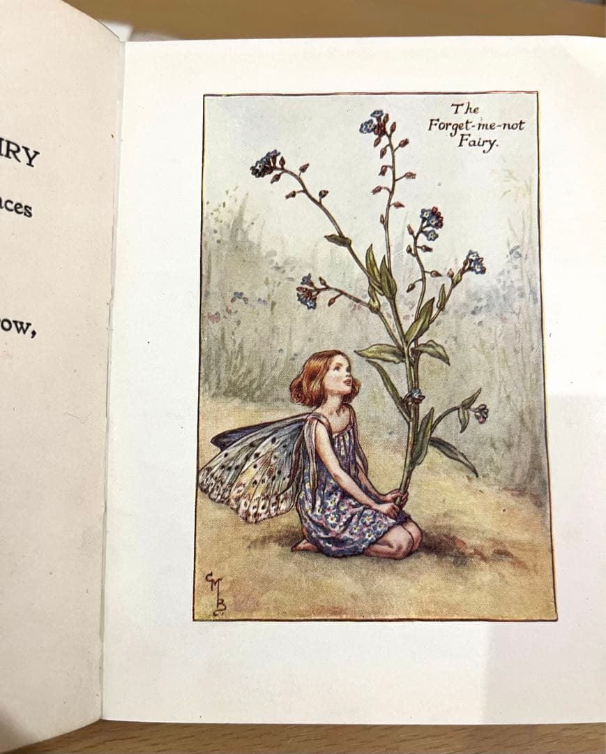 No.261 希少 古書 洋書 絵本 花の妖精 フラワー フェアリーズ - メルカリ