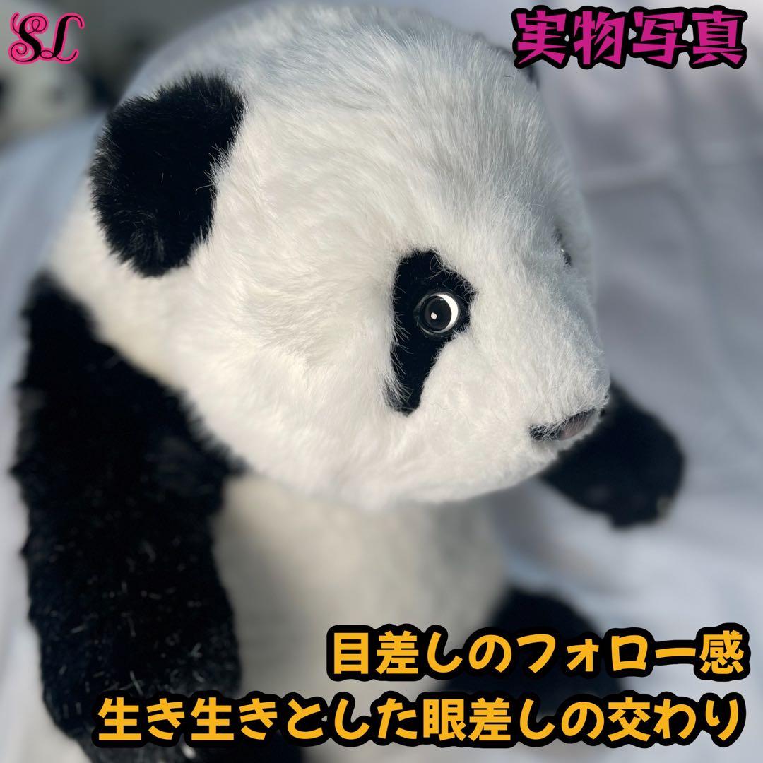 リアルで癒される！5ヶ月齢パンダぬいぐるみ - メルカリ