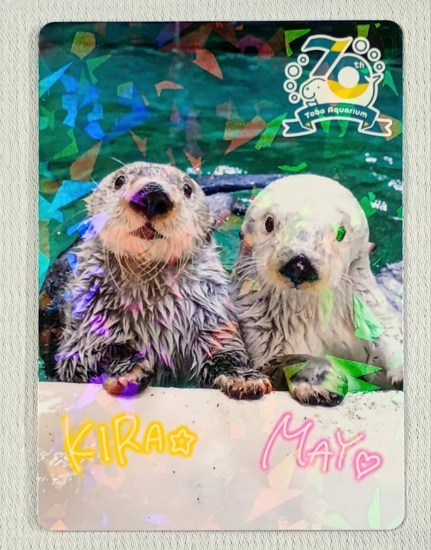 【匿名配送】鳥羽水族館　70周年記念　コレクションカード　レアカード　メイ　キラ 匿名配送】鳥羽水族館 70周年記念 コレクションカード レアカード メイ