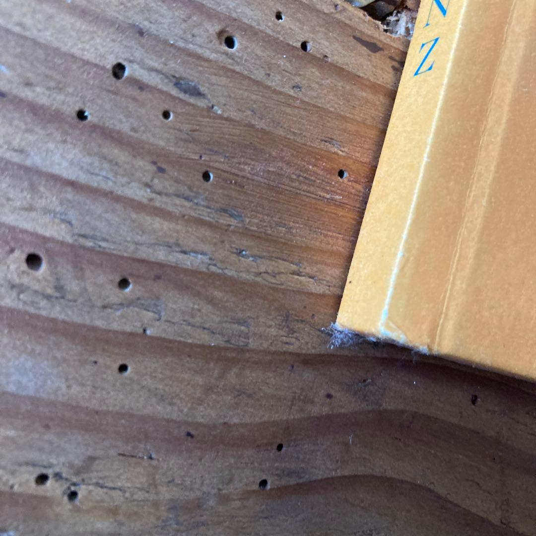 希少GusVanSant 「OneStepBigShot」ガスヴァンサント写真集