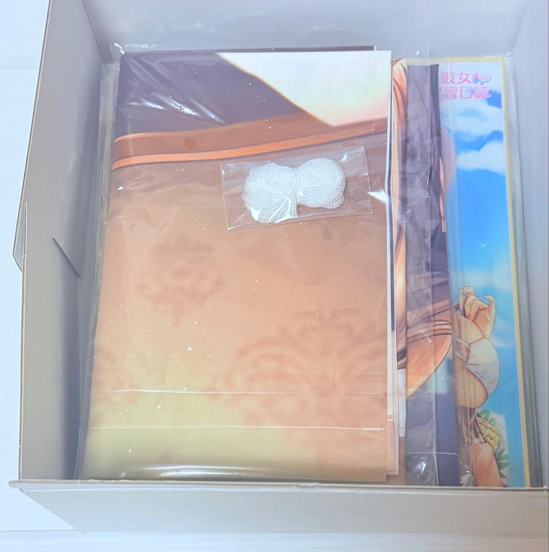 美品 Switch ボクと彼女たちの実習日誌 コンプリートBOX 特典未開封