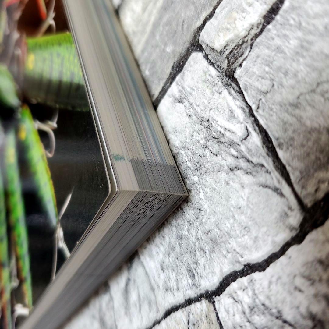 トレーダース ヘドン プラスチックス コレクティブルズ 1st