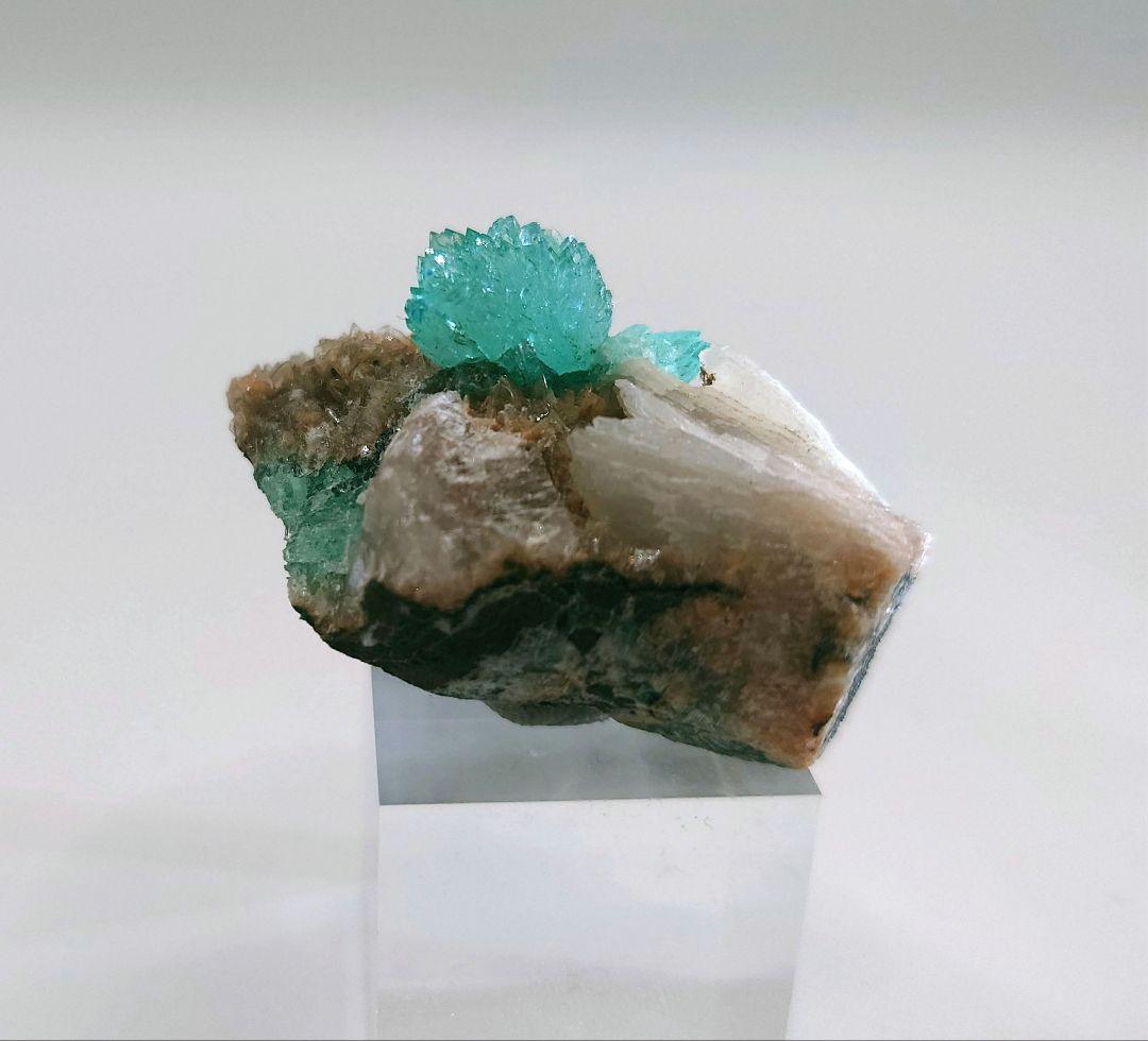 アポフィライト インド産 母岩付き 鉱石 鉱物 ミネラル 標本 原石 犬牙