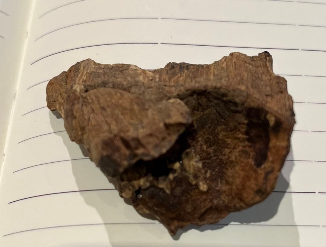 ベトナムニャトラン地方極上品の沈香 8.7gr。