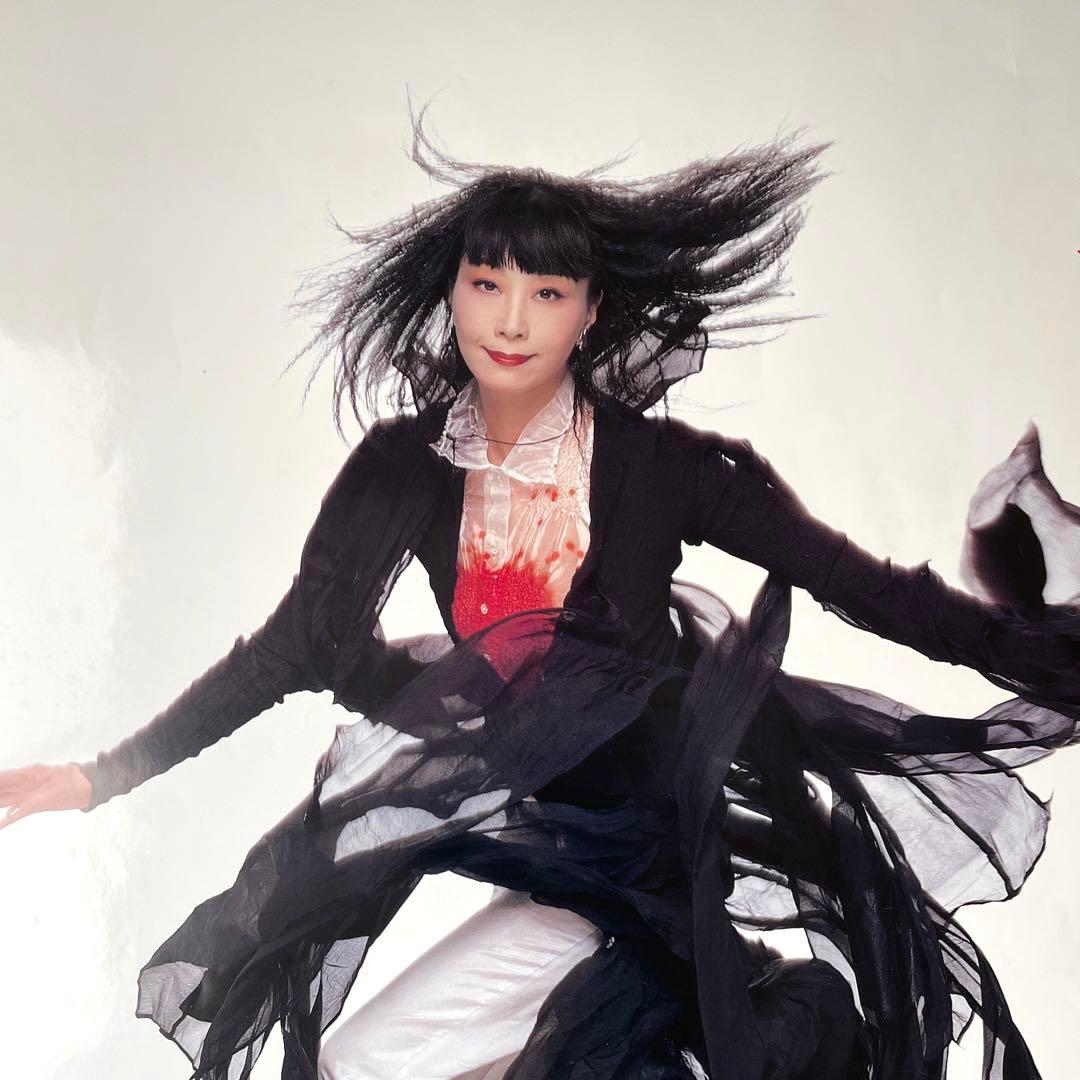 山口小夜子 資生堂ポスター SHISEIDO パリコレモデル 横須賀功光