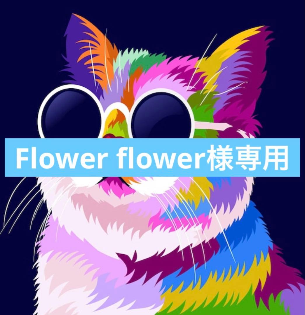 Flowerflower　白いチューリップ咲ゼラニウム　珍しいゼラニウム苗 2026年最新】チューリップ咲きゼラニウムの人気アイテム - メルカリ