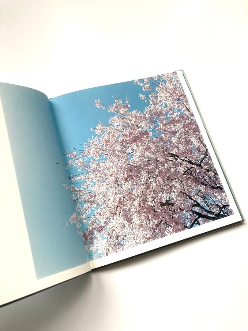 鈴木理策 写真集「HYSTERIC EIGHT 」 吉野山 桜 風景 青空 花 - メルカリ