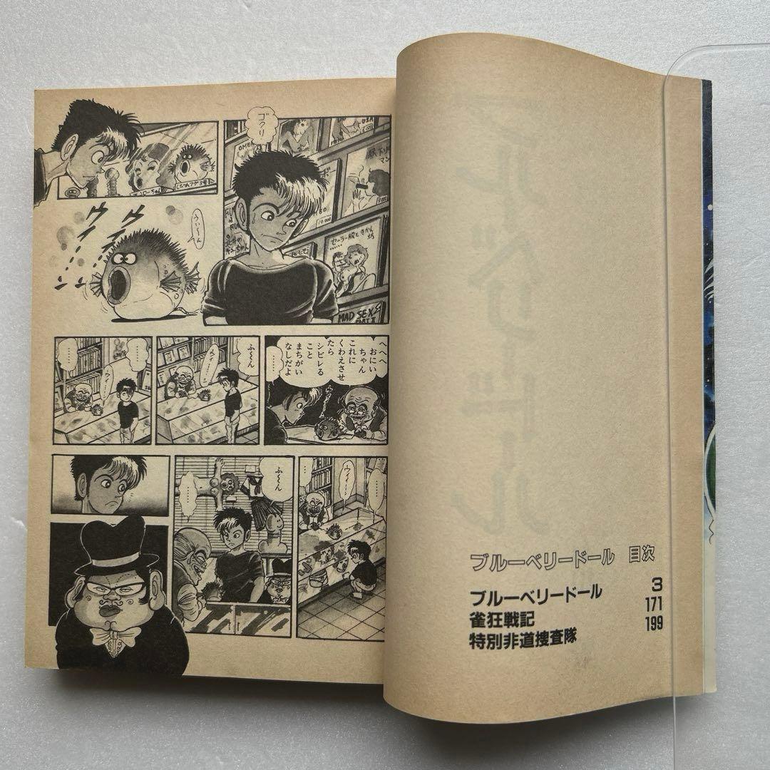 ブルーベリードール 石川賢 - メルカリ