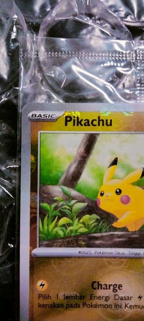 秘蔵 未開封 大会 優勝商品 ピカチュウ マスターボール プロモ 英語