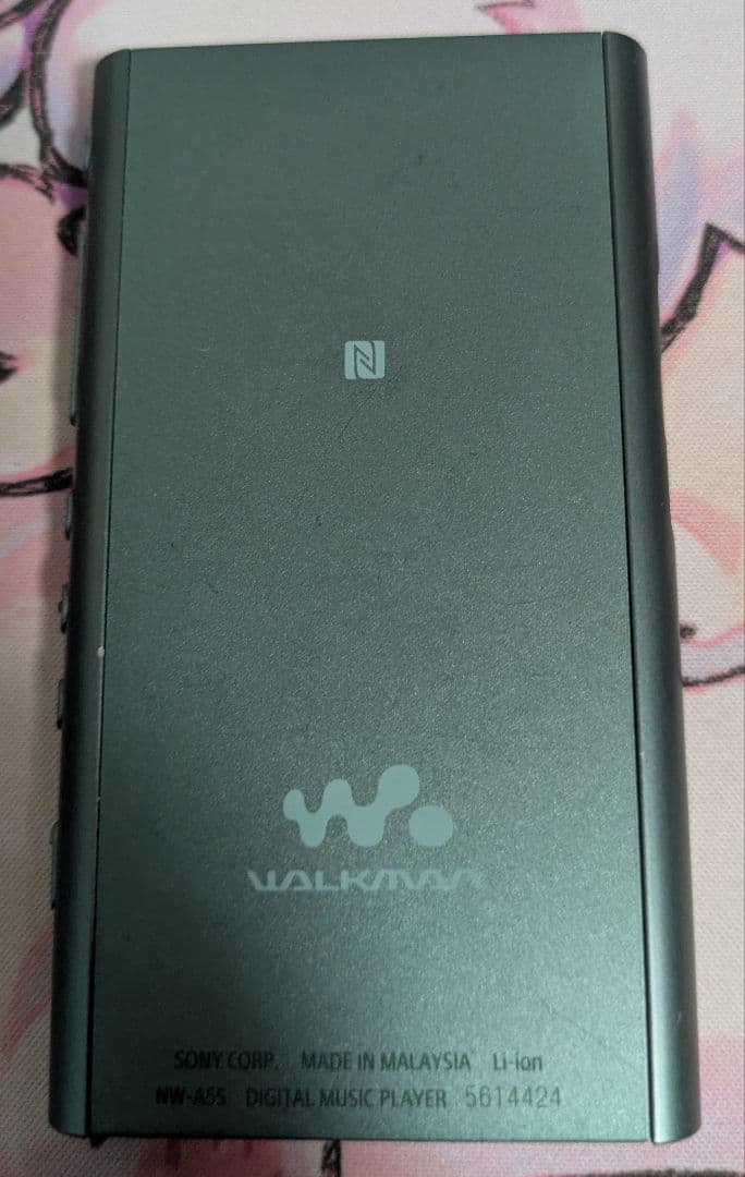 ウォークマン NW-A50series 12.26GB ホライゾングリーン