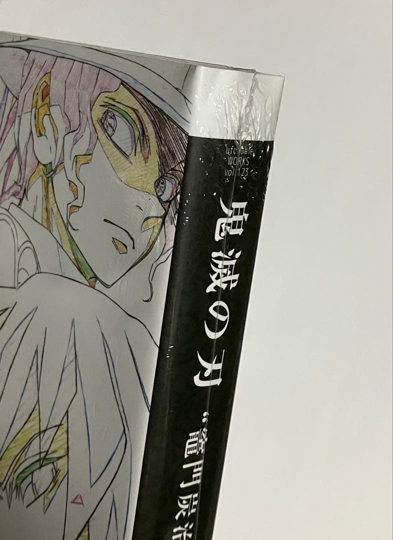 鬼滅の刃 鬼滅の刃 竈門炭治郎 立志編 原画集 上巻