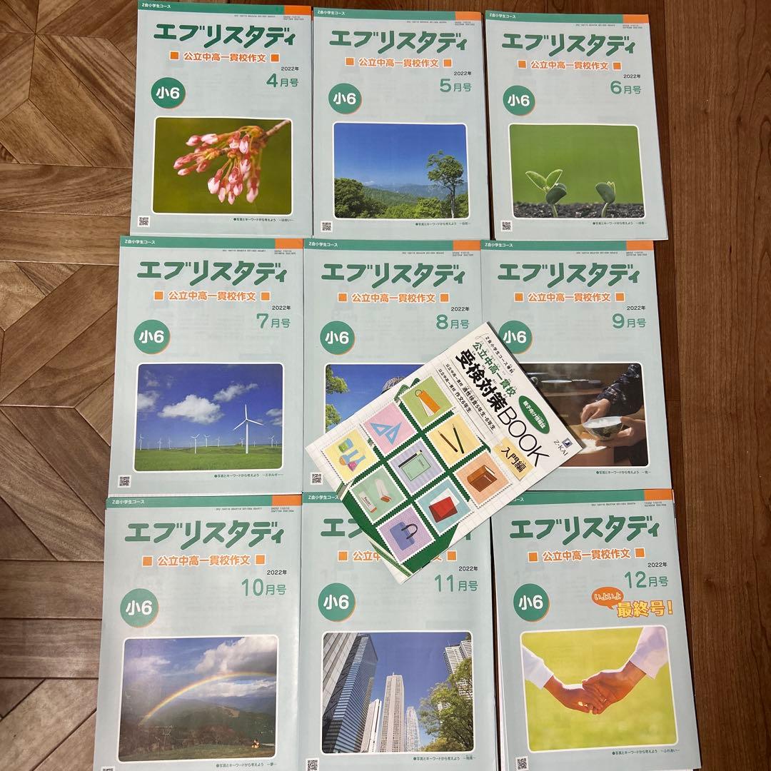 Z会 エブリスタディ 公立中高一貫校 作文 小6 2022年 4〜12月 一年分