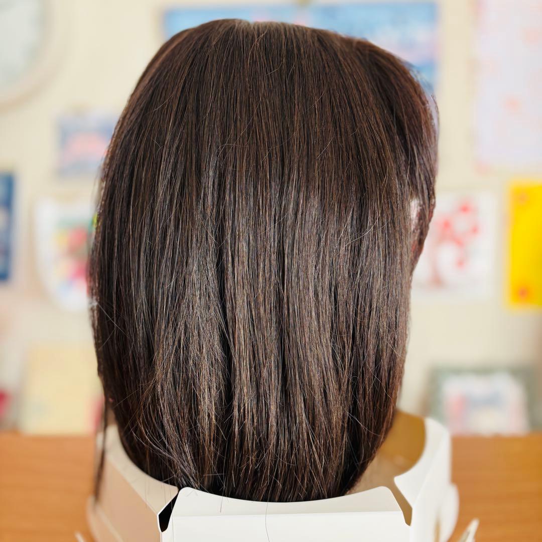 アートネイチャー ジュリアオージェ 医療用フルウィッグ 人毛MIX L