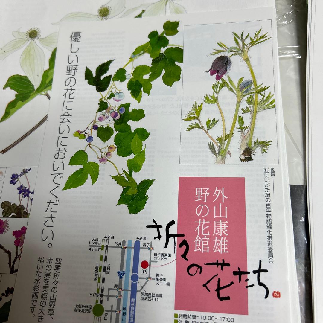 値下げ 水彩画 木製フレーム付き 外山康雄 原画 越の小貝母 名刺