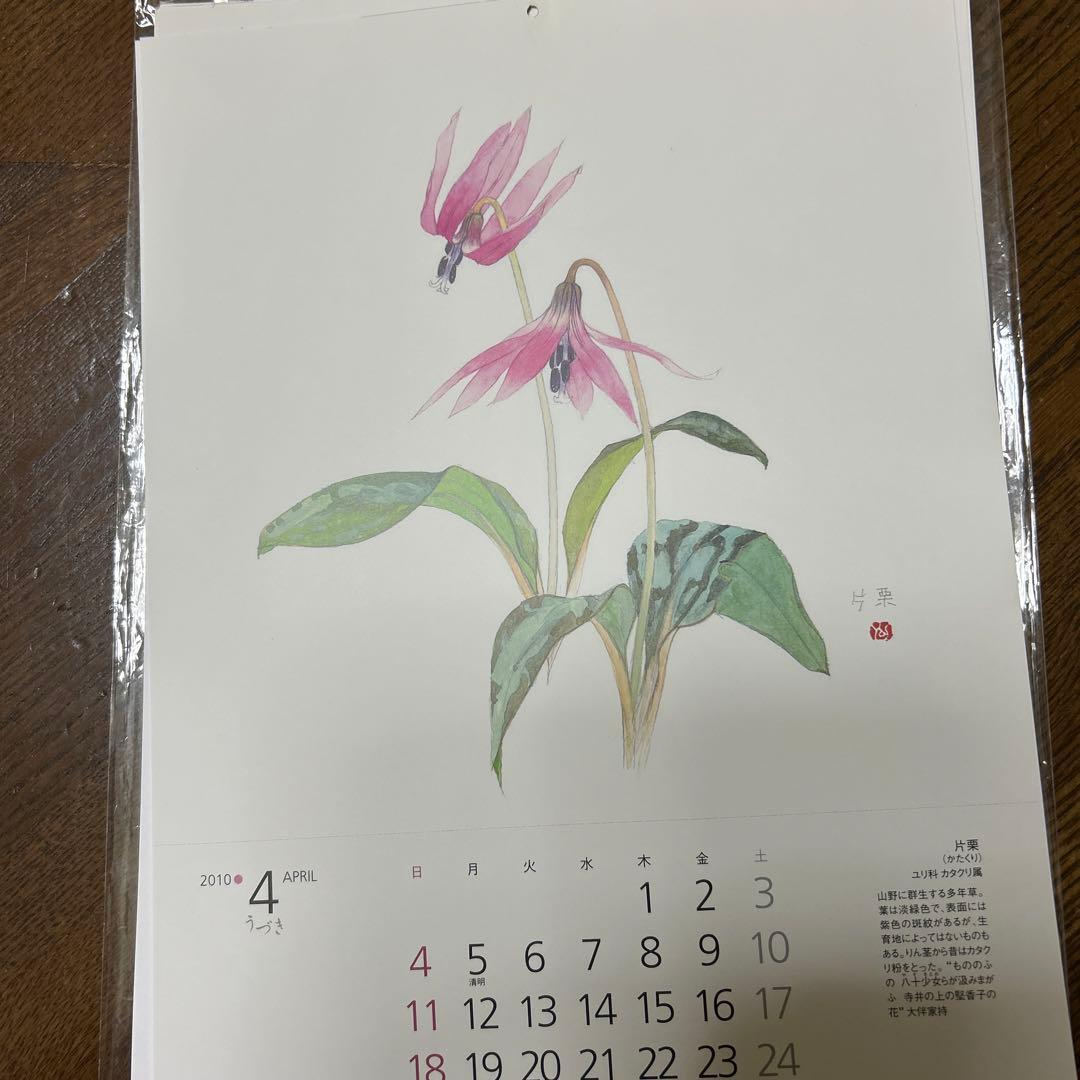 値下げ 水彩画 木製フレーム付き 外山康雄 原画 越の小貝母 名刺