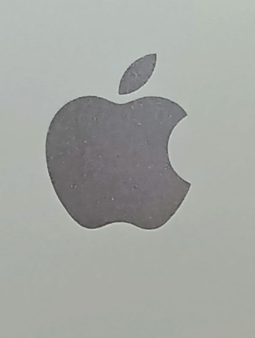 楽天市場】ipad mini4 シリコン ケースの通販 iPad mini4 579C-A1550