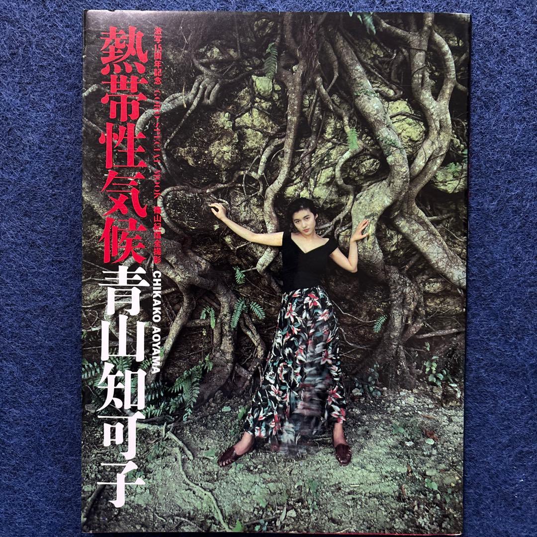 熱帯性気候 青山知可子 - メルカリ