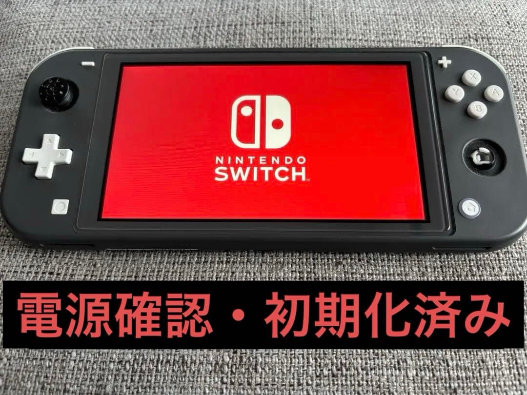 Nintendo Switch Lite 本体　グレー　スティック破損　ケース付 新品 (任天堂 Nintendo Switch Lite グレー )4902370542929 ライト