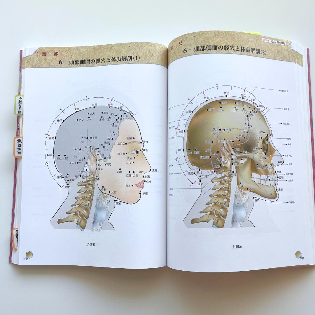 14冊セット】鍼灸学校 教科書＋経穴マップ 国家試験 東洋医学/解剖学