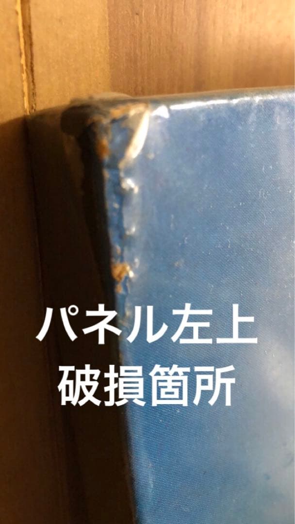 値下げ！景品つき！ついにでた！ハワイの女神アグネス・ラム全身パネル