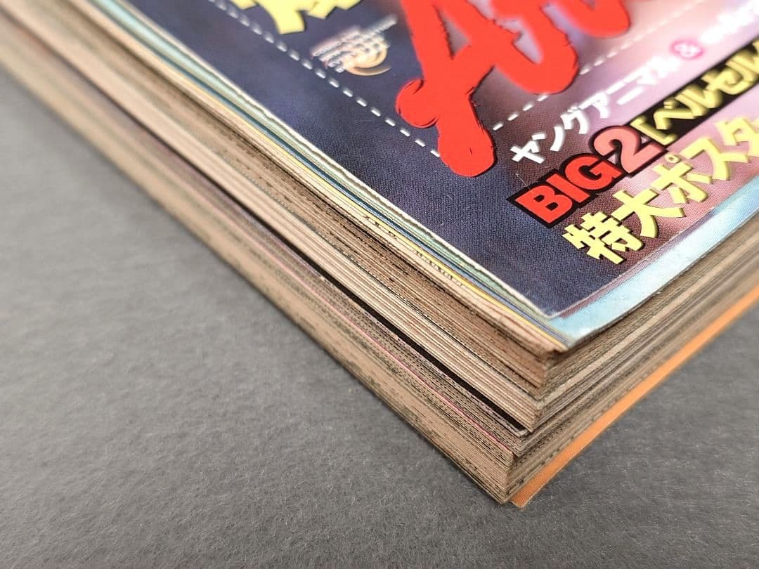 ヤングアニマル2001年8号ベルセルク巻頭見開きカラー第179話/佐藤ゆりな