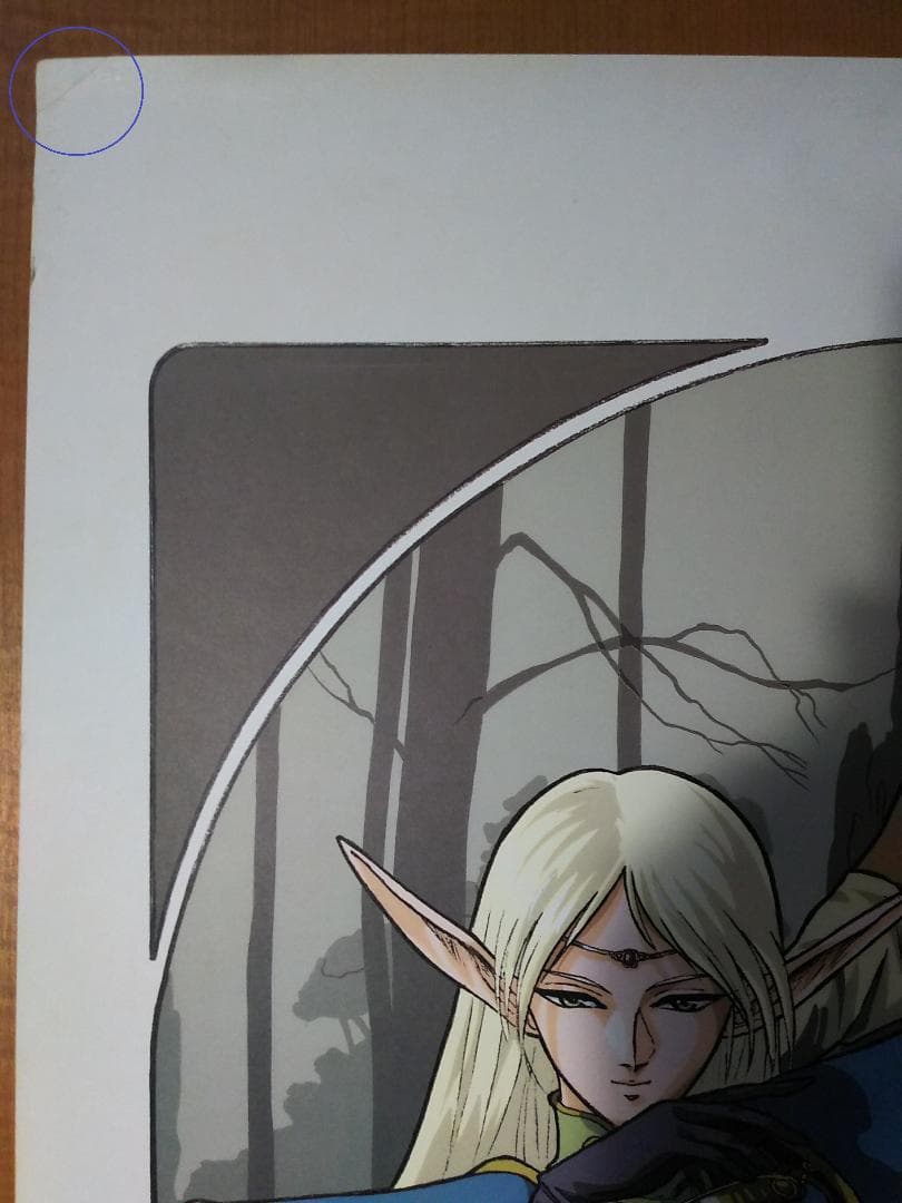 ロードス島戦記 ディードリット＆ピロテース B2ポスター 画鋲穴なし