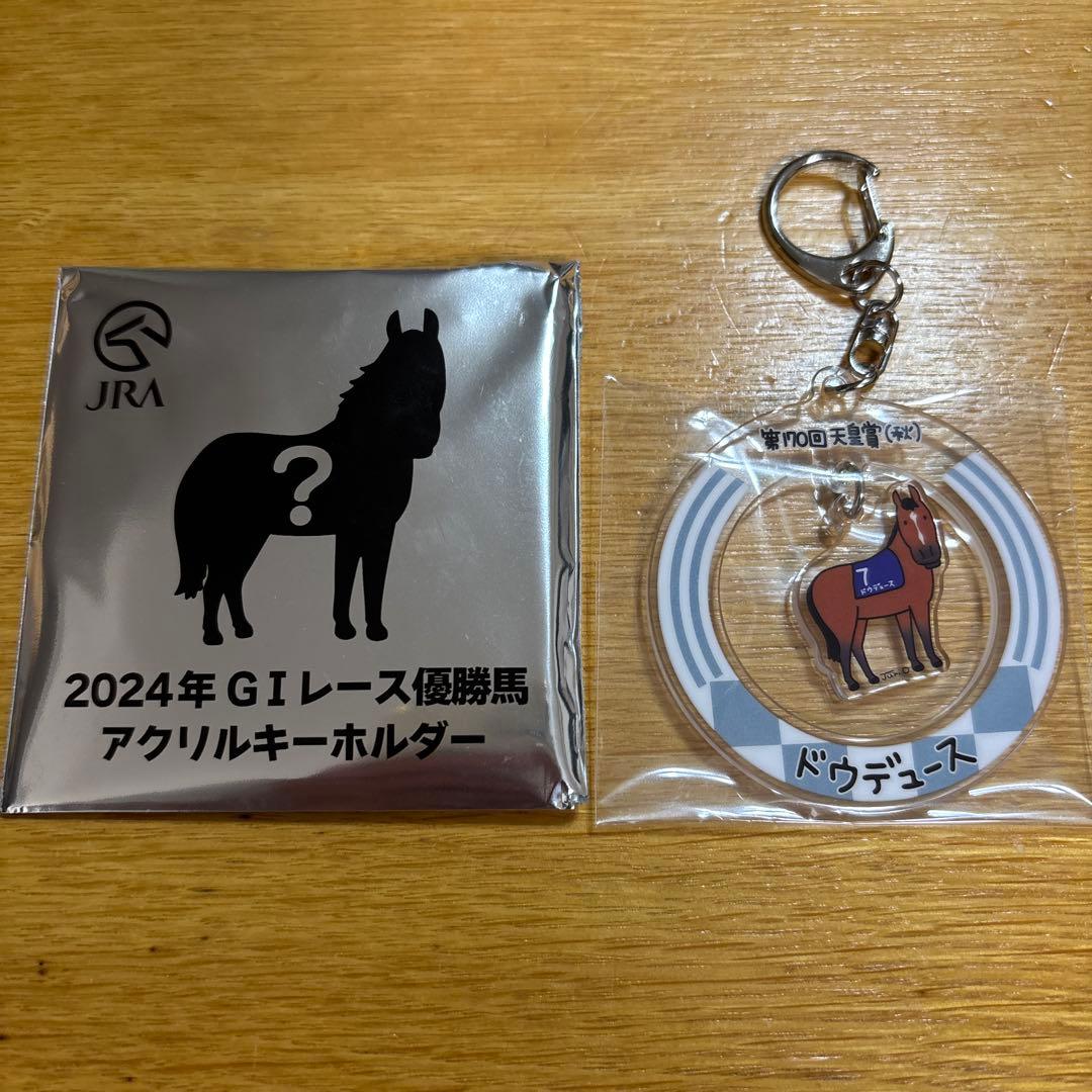 JRA ウェルカムチャンス G1レース優勝馬アクリルキーホルダー ドゥ