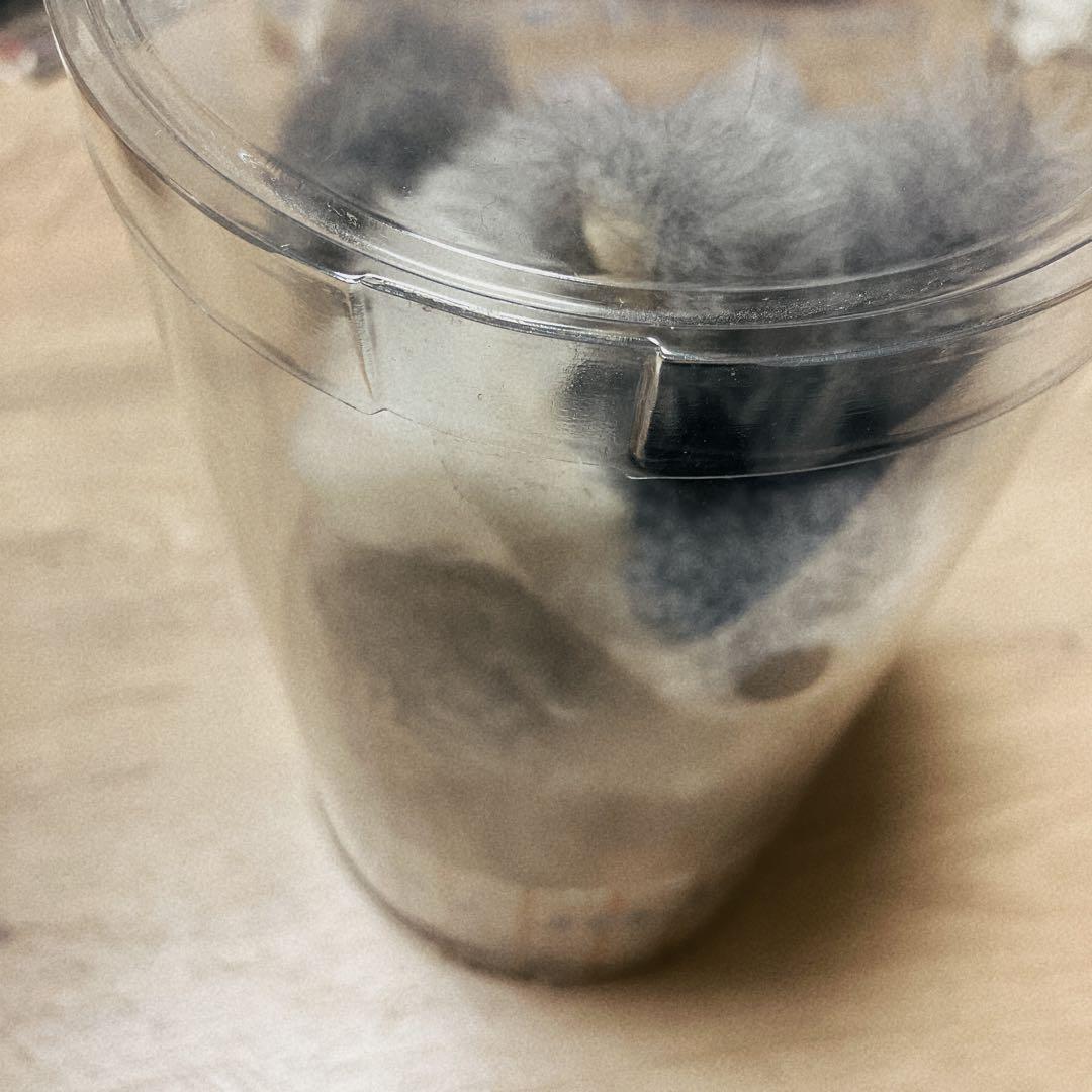 mojojojo Teddy-JOJO ぬいぐるみ ウルフ オオカミ - メルカリ