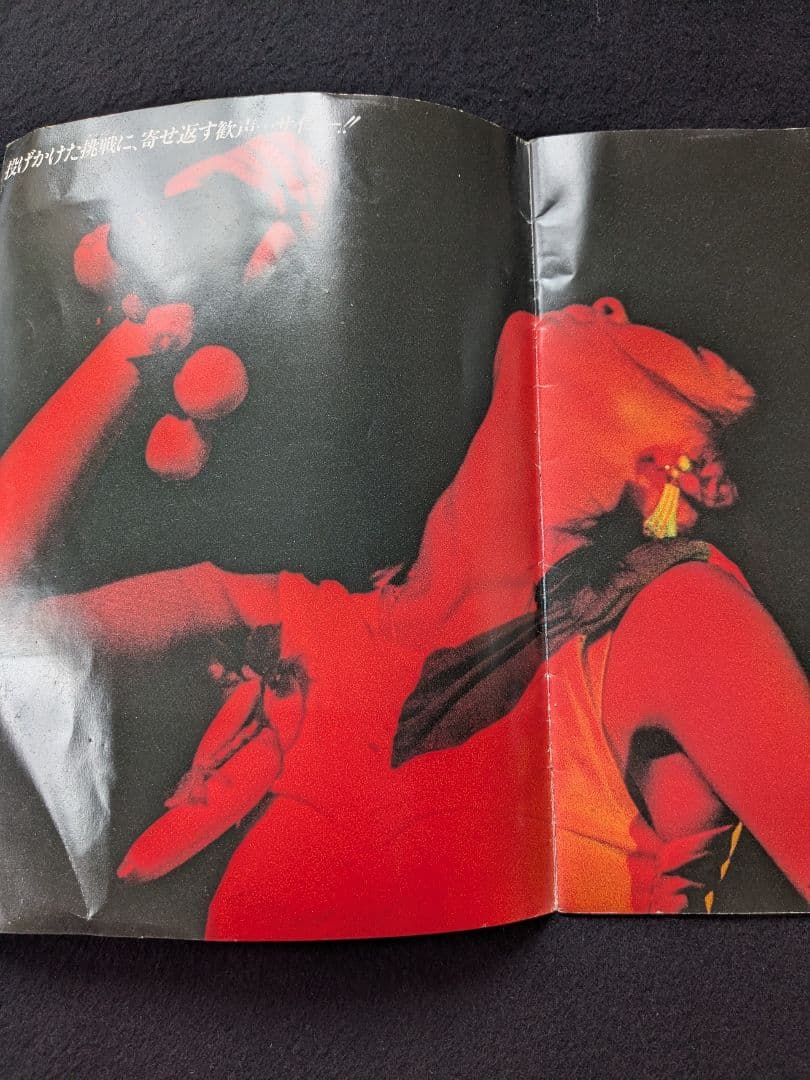 中山美穂 1986 コンサートツアーパンフレット ライブ 写真 歌詞