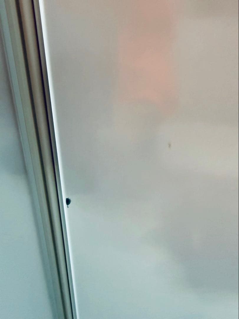 東京都23区(送料込み) アレジア 冷蔵庫ノンフロン 2ドア (TPO4891)