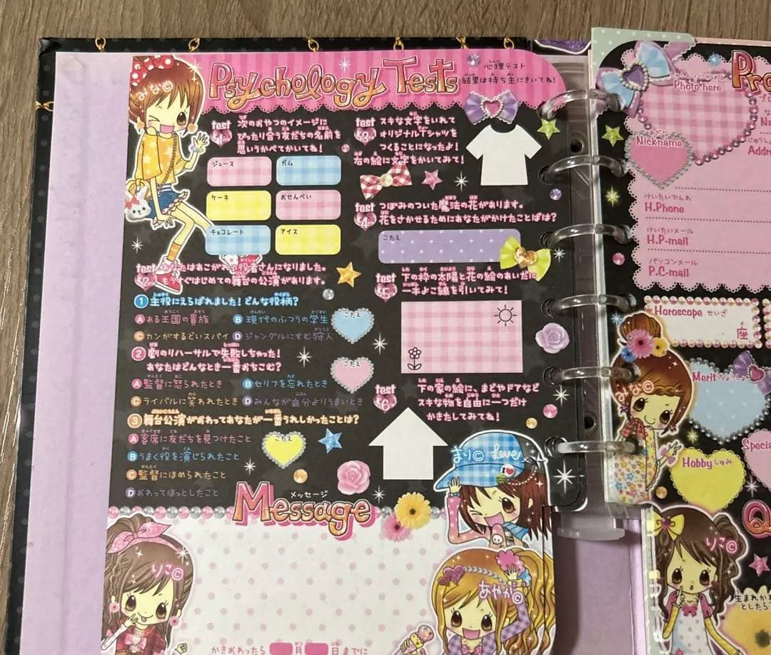 プロフィール帳 激レア 平成レトロ - メルカリ