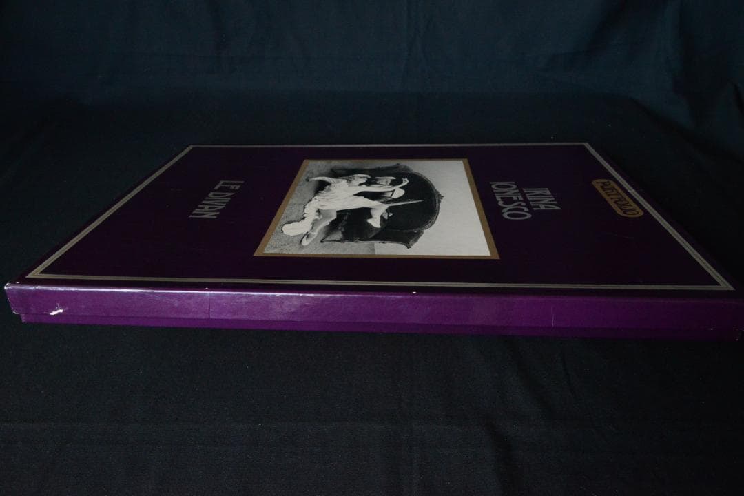 【Irina Ionesco：Le Divan. - portfolio-.】